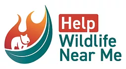 wildlife